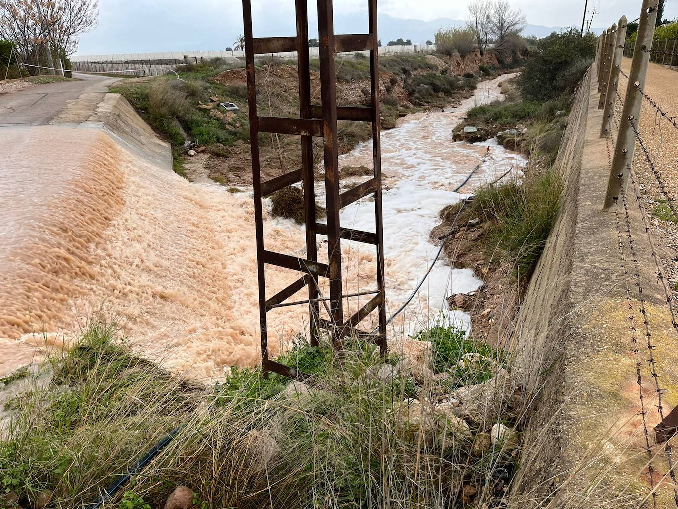 Fotos: La lluvia deja sótanos inundados, vallas reventadas y aves de corral muertas en Sierra Espuña