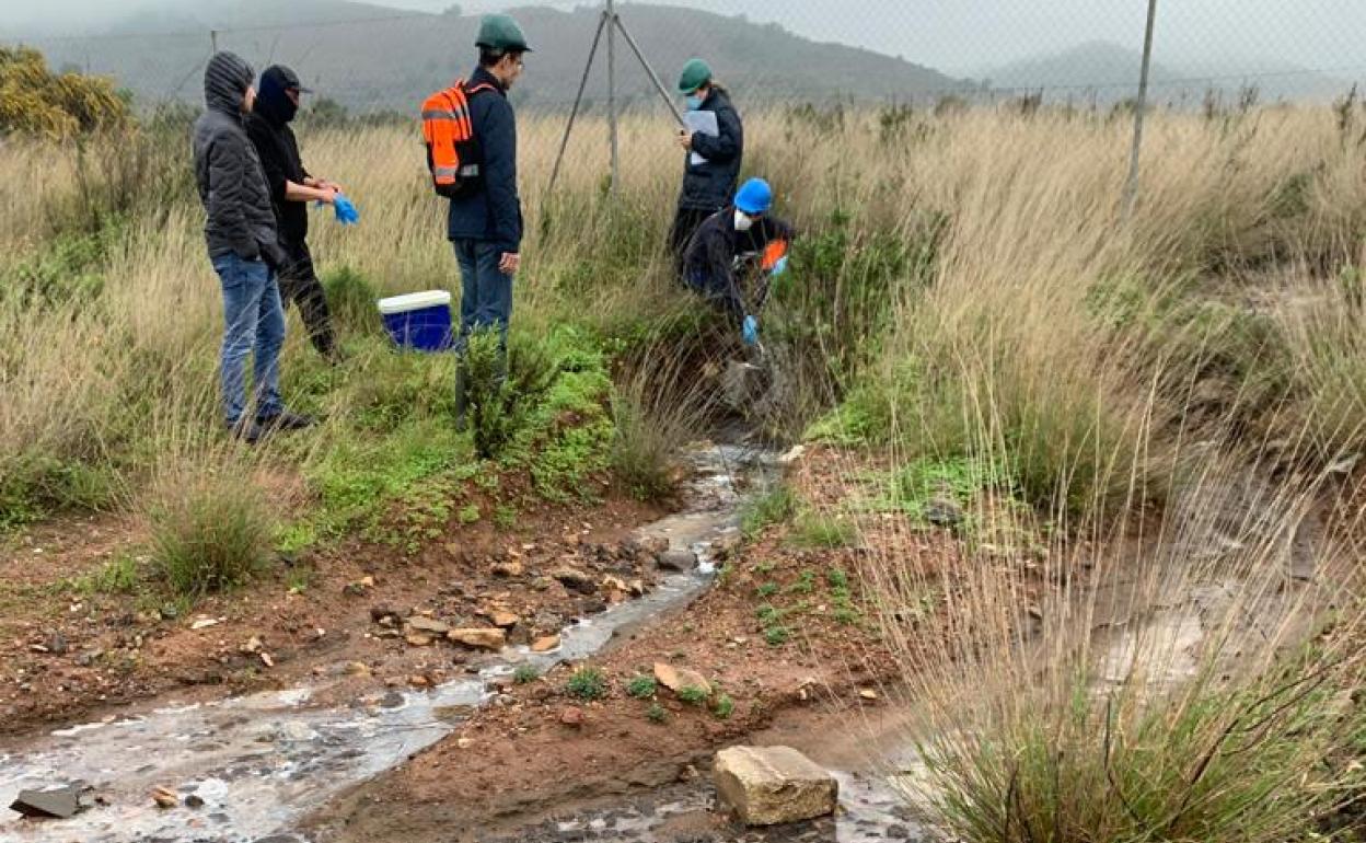 Técnicos de Medio Ambiente, de un laboratorio privado y de la CHS toman muestras de la Balsa Jenny, este viernes.
