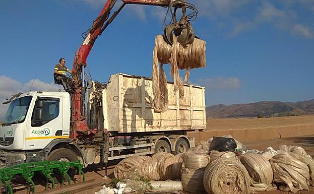 Recogida de plástico agrario desechado en una explotación de la Región.