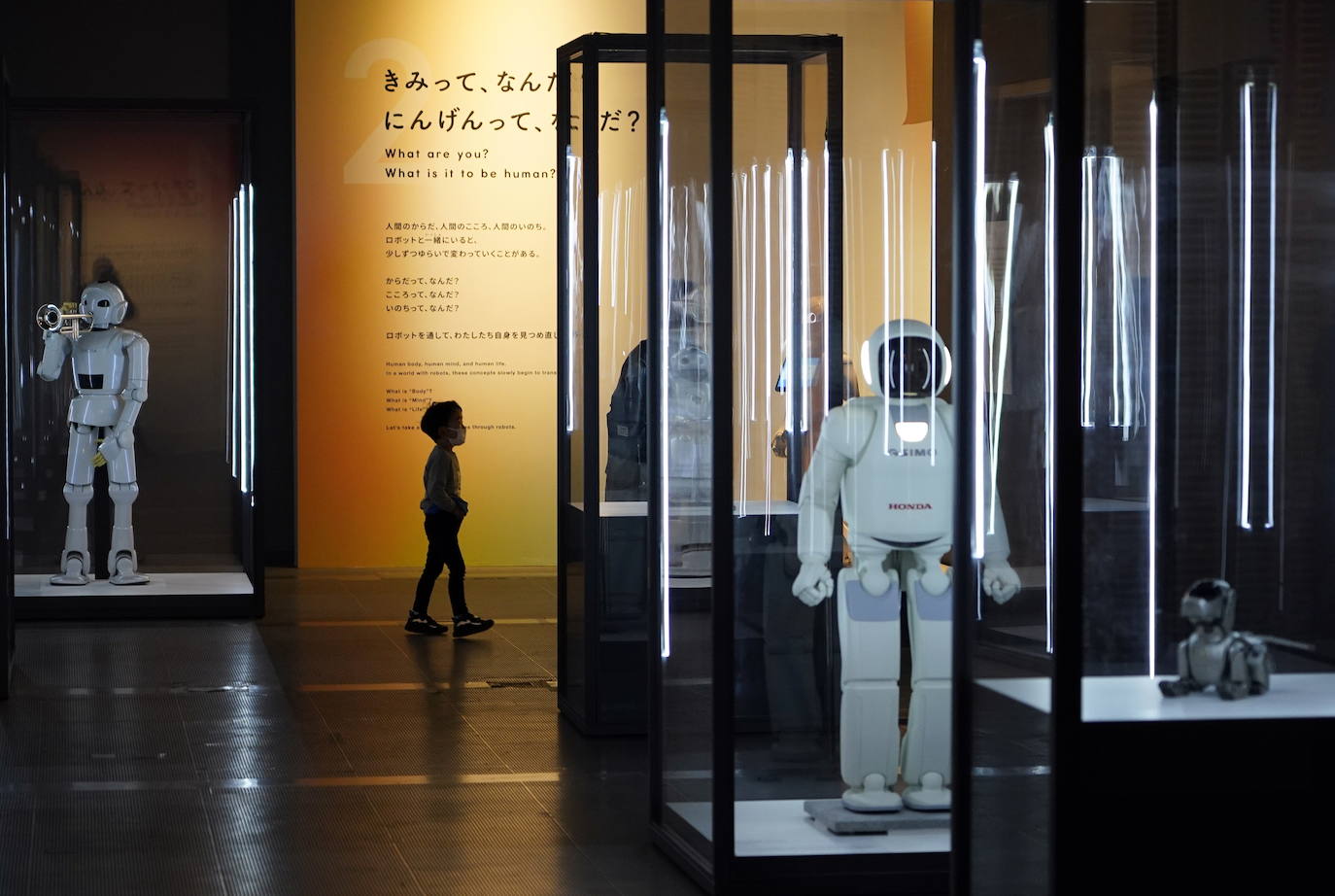 Fotos: Robots y humanos