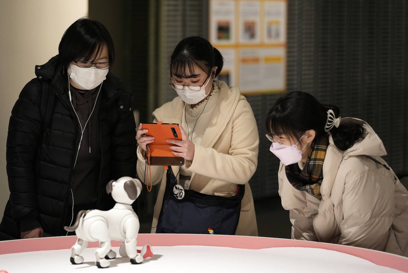 Fotos: Robots y humanos