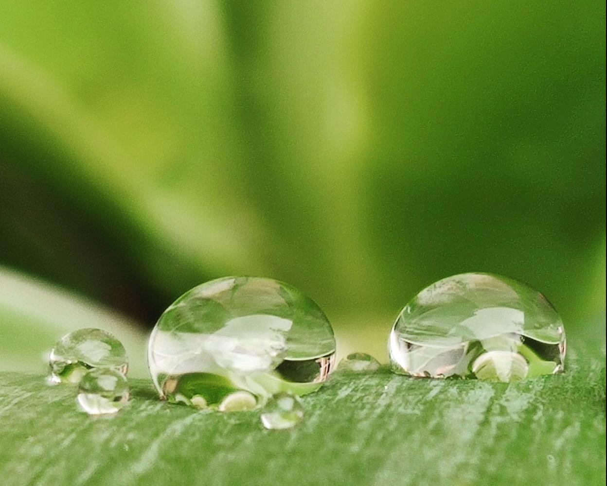 Las lágrimas de Europa