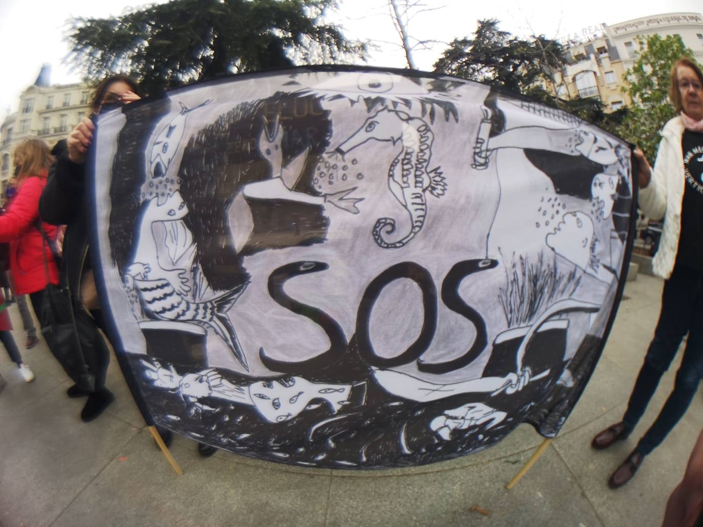 Fotos: Apoyo a la ILP del Mar Menor en Madrid