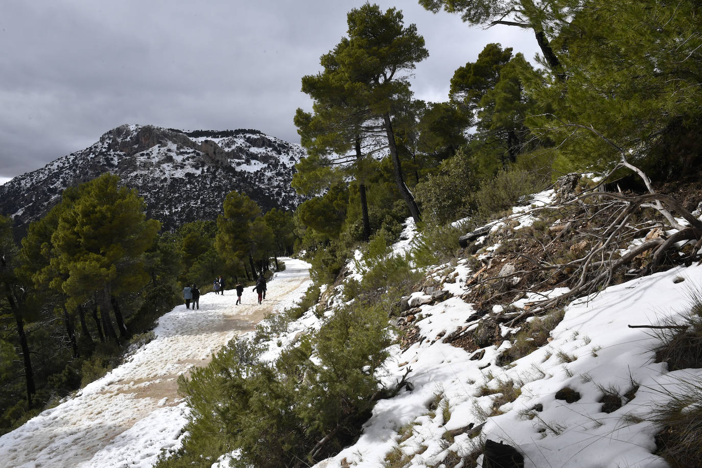 Fotos: Sierra Espuña amanece teñida de blanco tras dos días de nieve