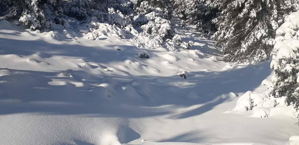 Fotos: Sierra Espuña amanece teñida de blanco tras dos días de nieve