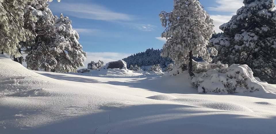 Fotos: Sierra Espuña amanece teñida de blanco tras dos días de nieve