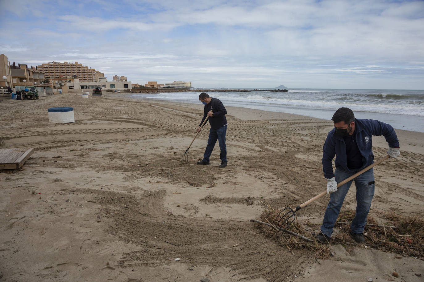 Fotos: Trabajo contra reloj para adecentar las playas de la Región