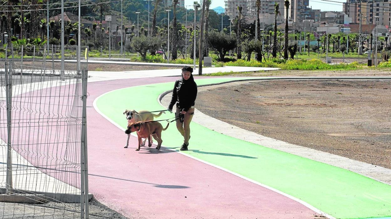 Una mujer pasea a dos perros, ayer, por el camino peatonal y para ciclistas abierto en el Plan Rambla. 