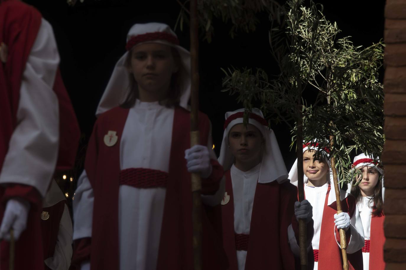 Fotos: Un mar de palmas guía a Jesús a Jerusalén