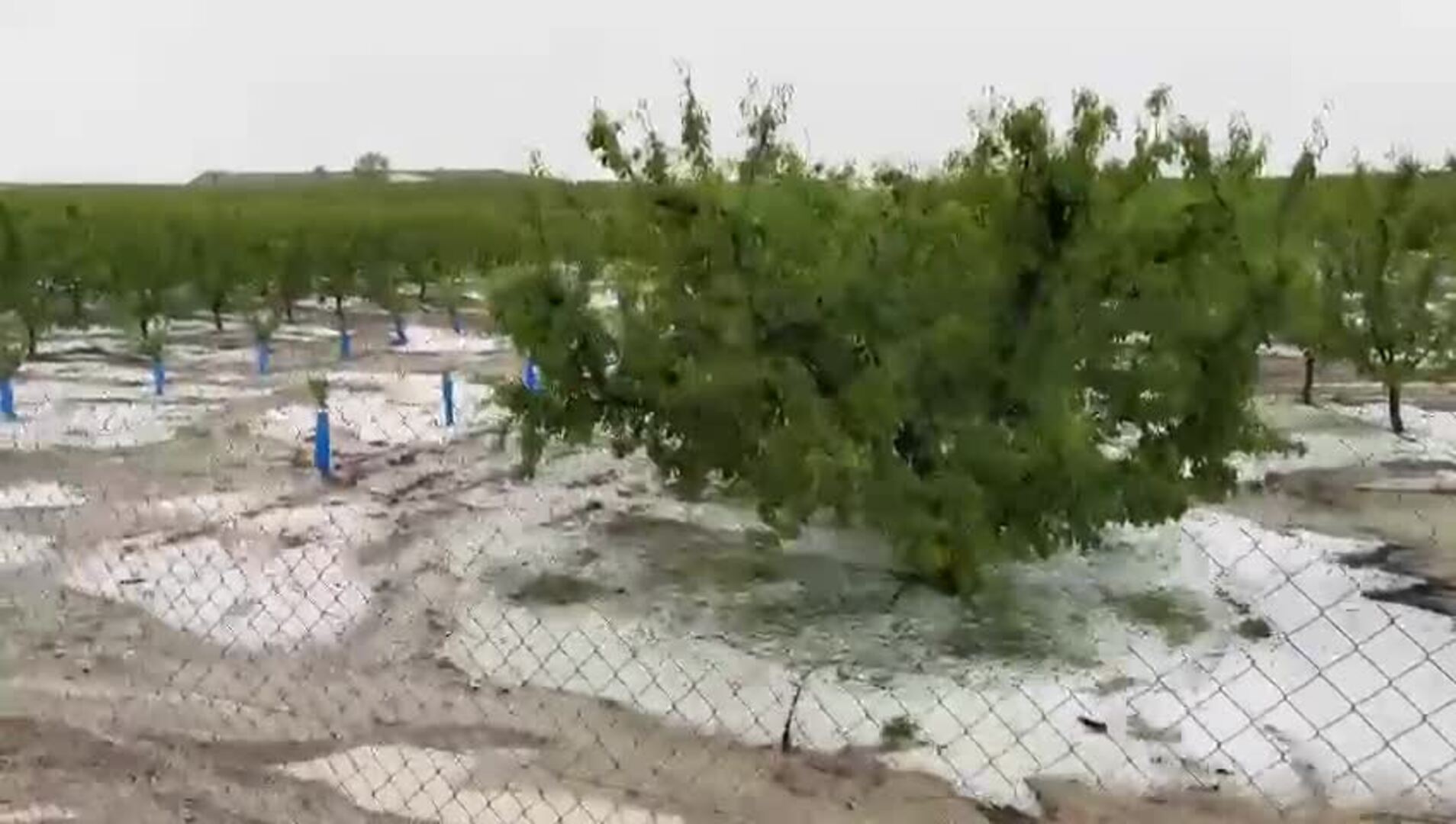El granizo sorprende en varios puntos de la Región de Murcia
