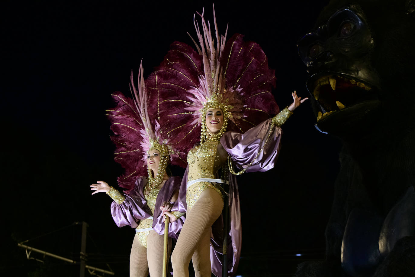 Fotos: Testamento de la Sardina