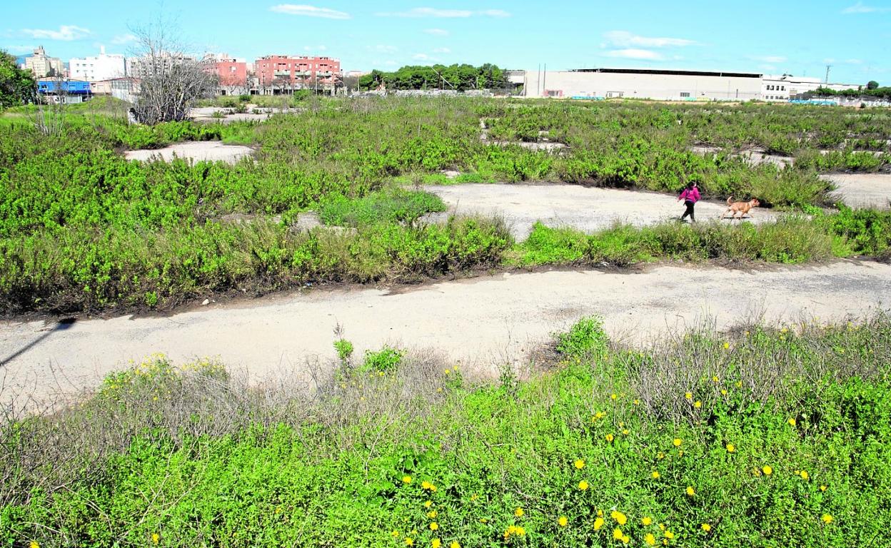 Una mujer pasea junto a un perro por los alrededores de la barriada de San Ginés, una de las zonas estudiadas por el Ministerio. 