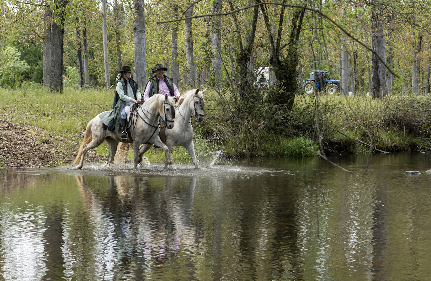Fotos: El reencuentro de los romeros