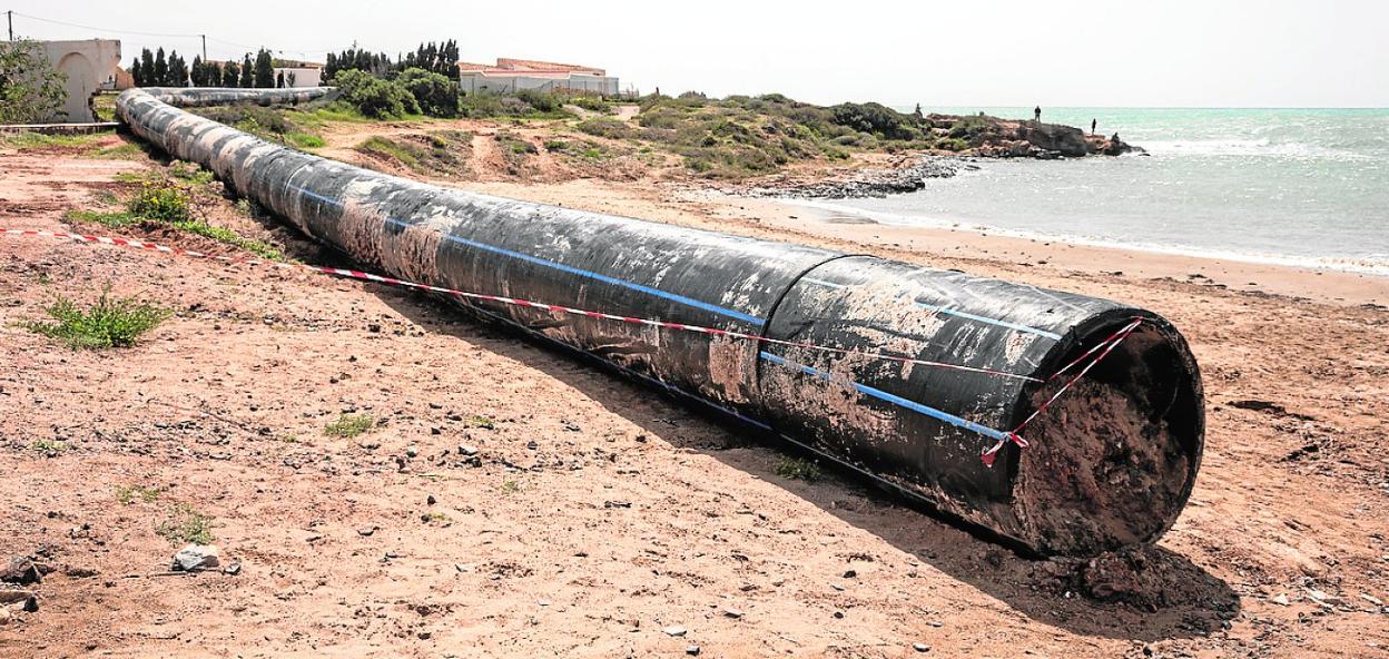 El tramo de emisario extraído tras la avería, sobre la playa de Cala Reona. 