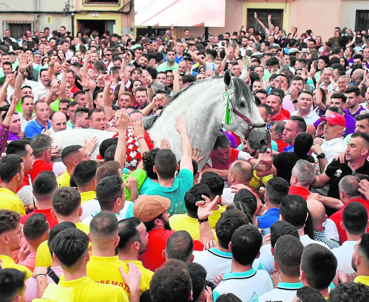 El caballo 'Zíngaro', ganador del concurso a pelo, vitoreado ayer en la plaza del Hoyo. 