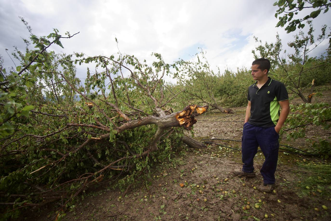 Fotos: Las consecuencias del tornado en Mula