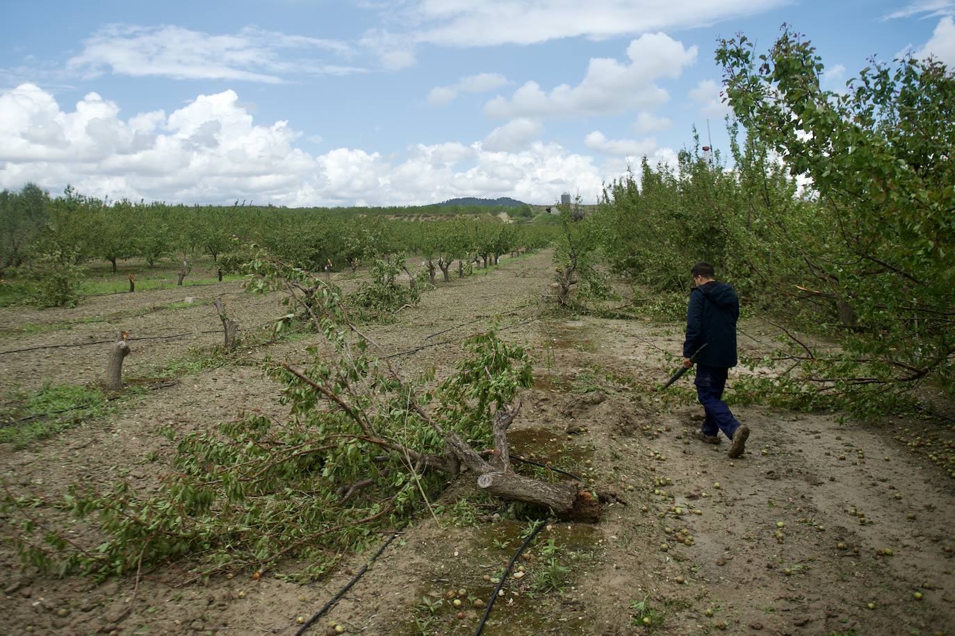 Fotos: Las consecuencias del tornado en Mula