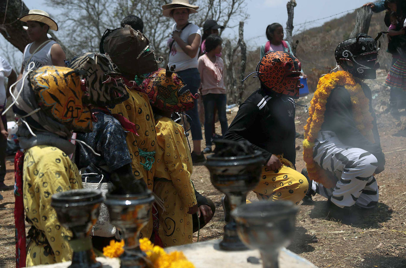 Fotos: Pelea de tigres