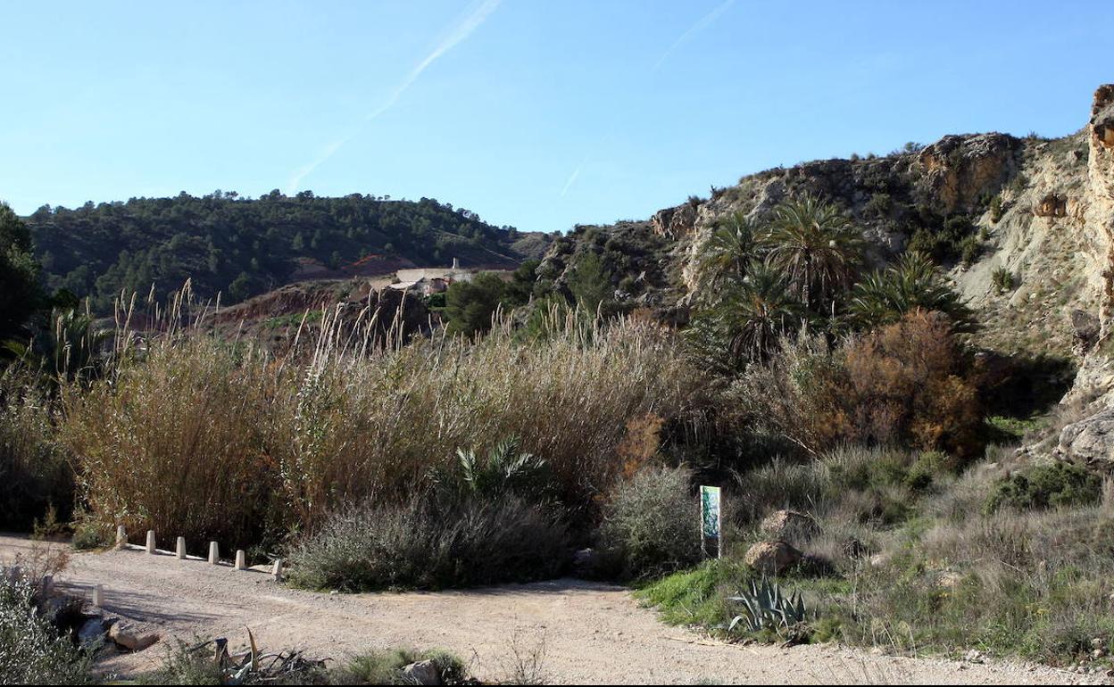 Entorno del río Chícamo, en una foto de archivo.