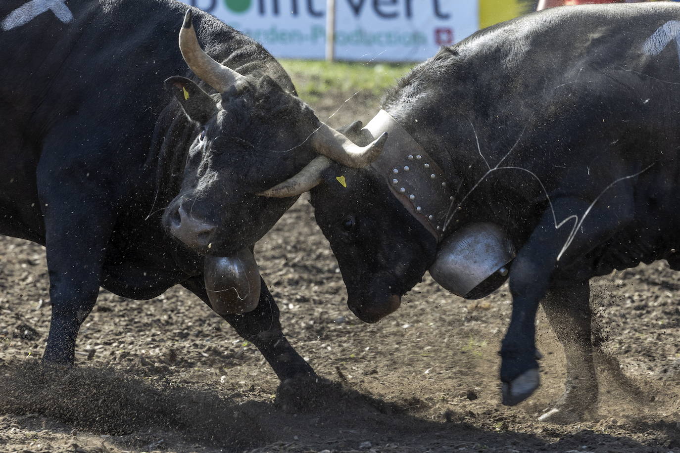 Fotos: Sólo puede quedar una
