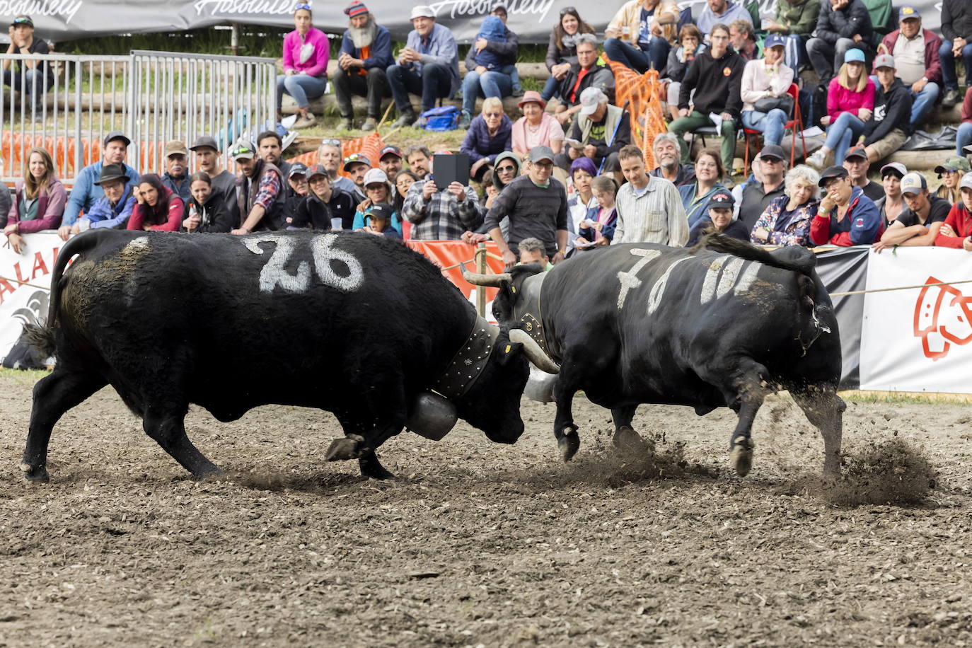 Fotos: Sólo puede quedar una
