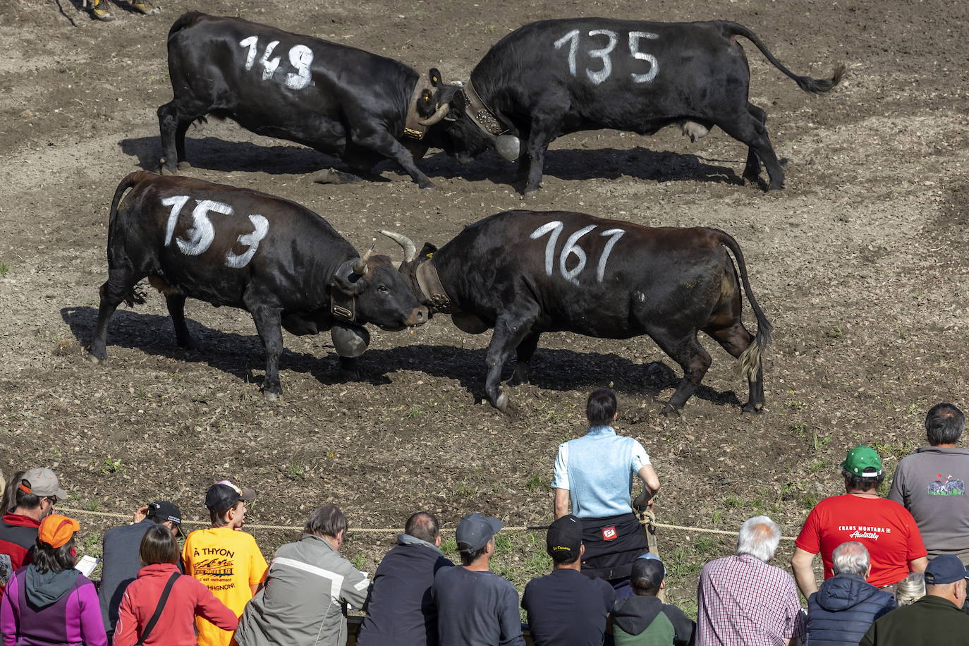 Fotos: Sólo puede quedar una