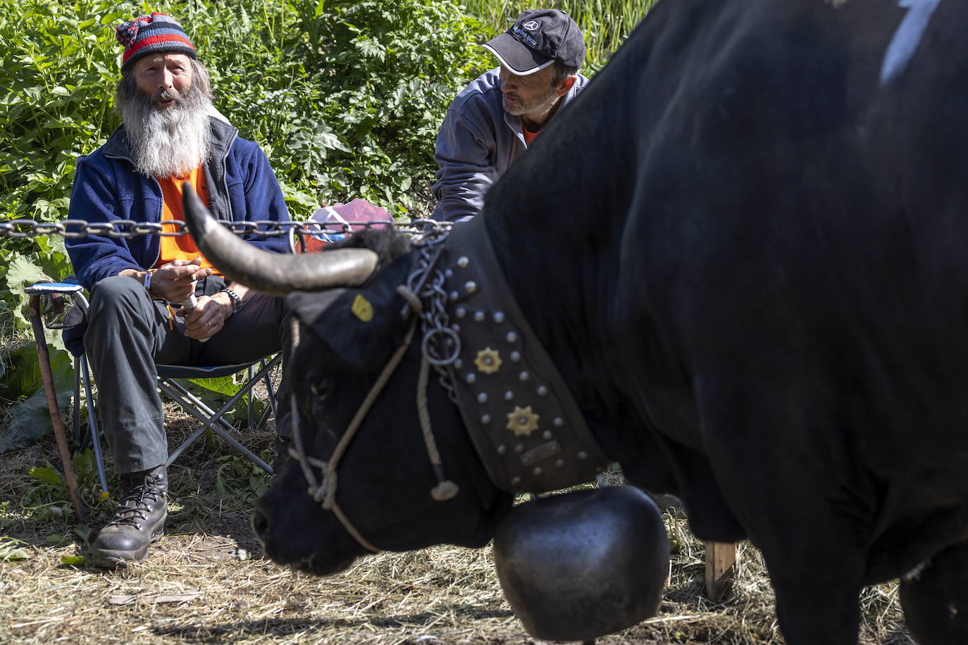 Fotos: Sólo puede quedar una