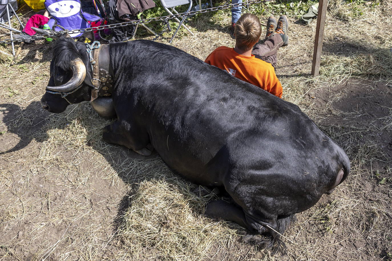 Fotos: Sólo puede quedar una