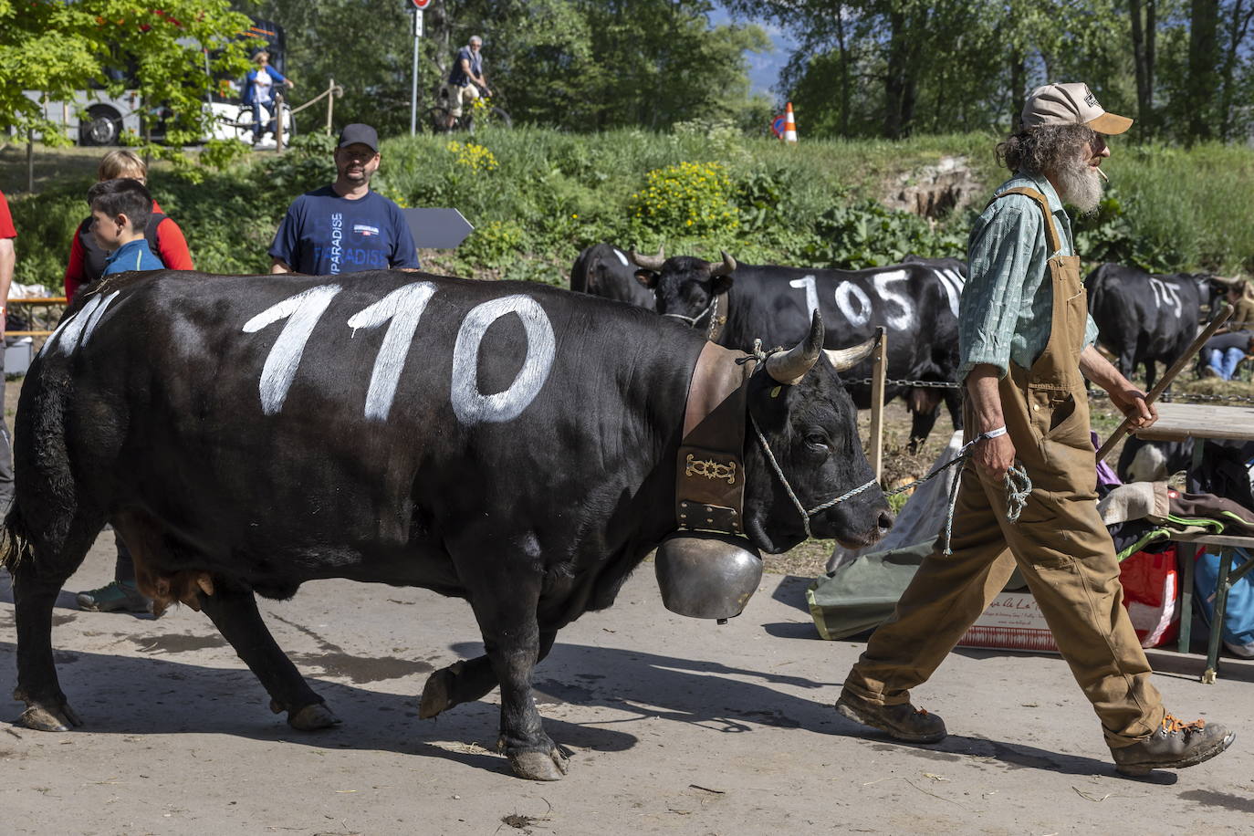 Fotos: Sólo puede quedar una
