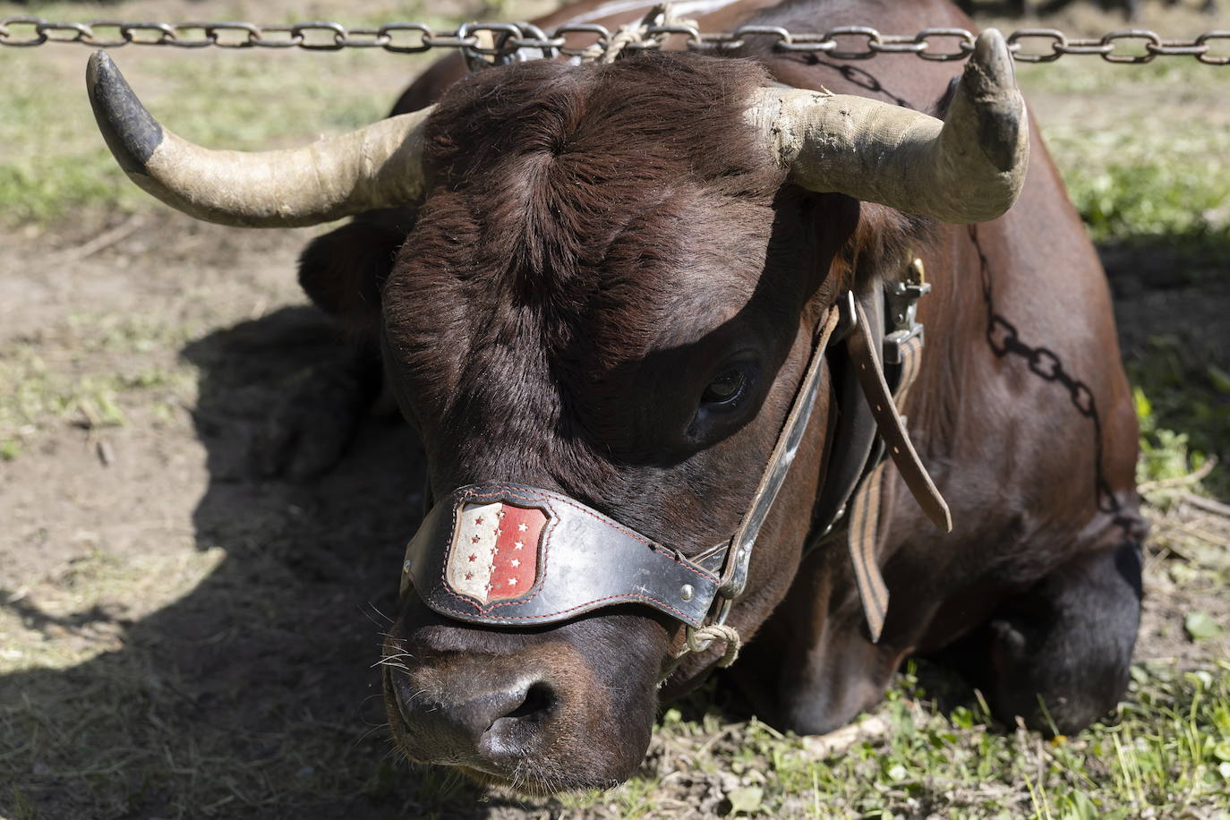 Fotos: Sólo puede quedar una