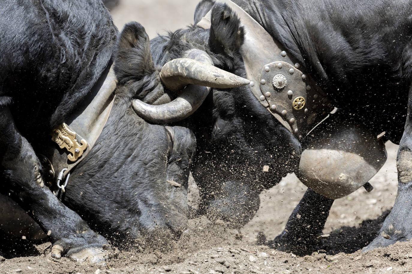 Fotos: Sólo puede quedar una