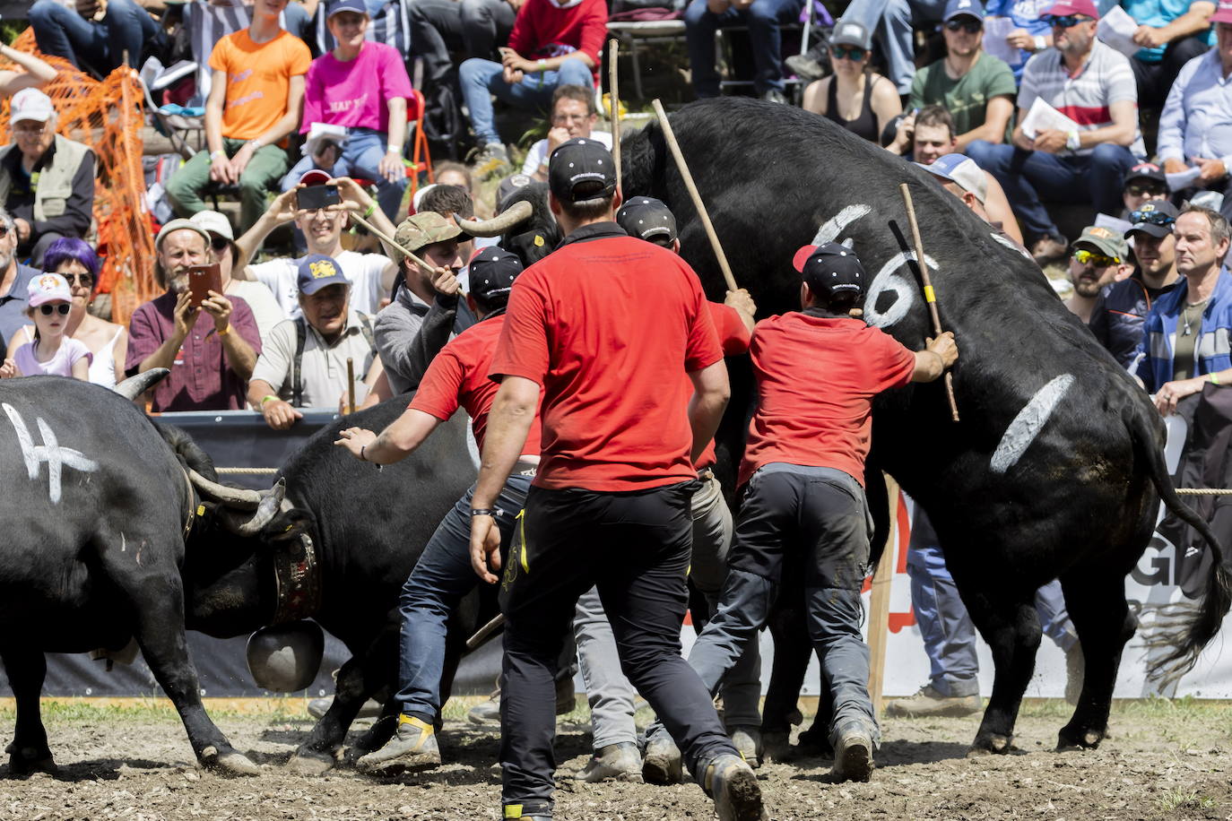 Fotos: Sólo puede quedar una