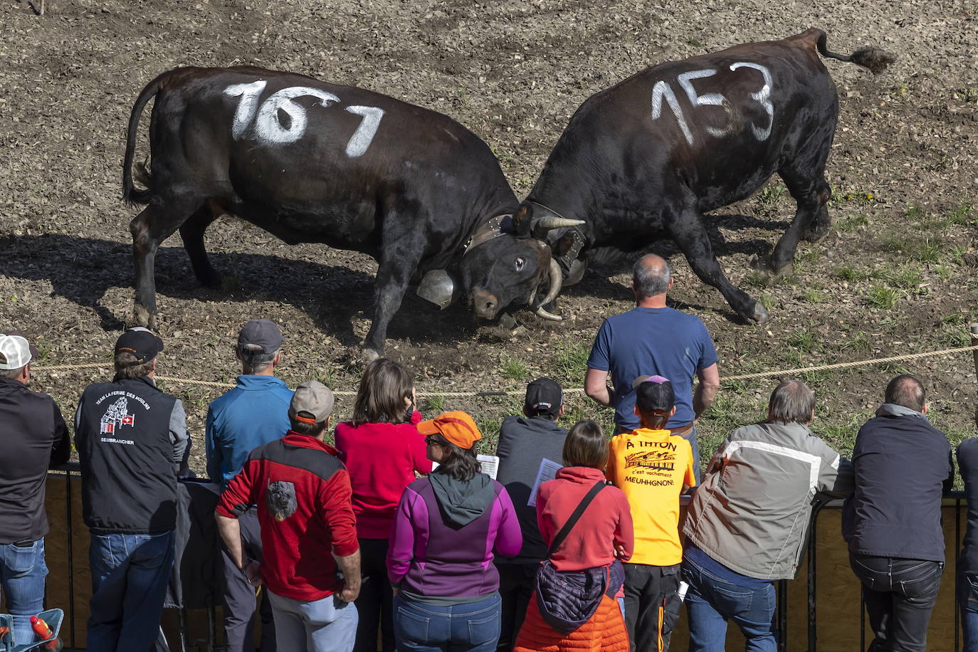 Fotos: Sólo puede quedar una