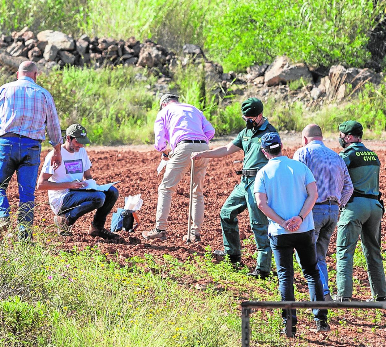 Técnicos de Sanidad Vegetal y agentes, ayer en Llano del Beal. 