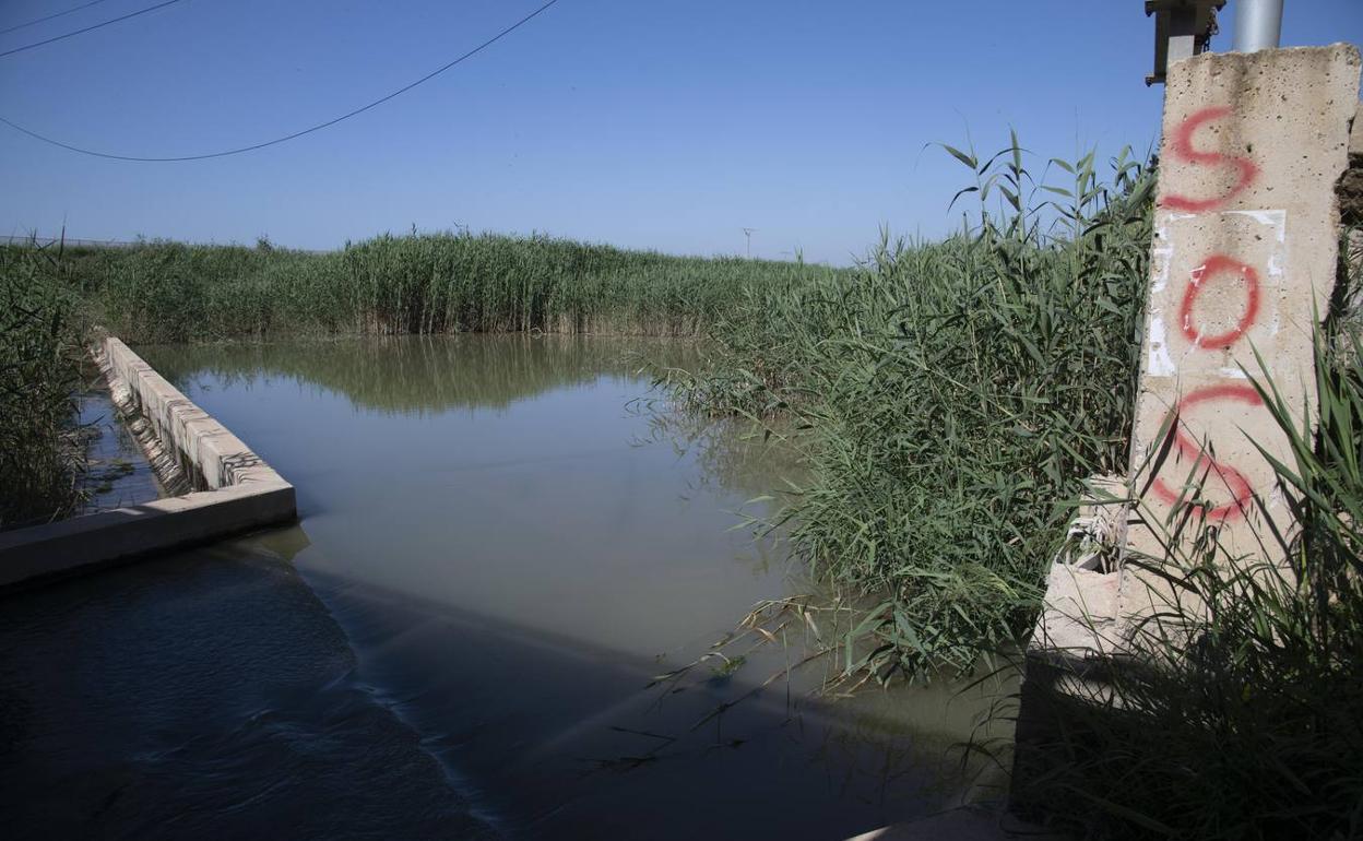 Rambla del Albujón.