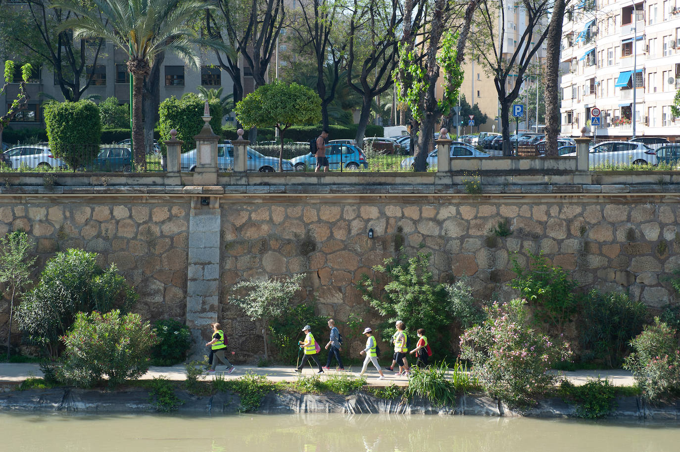 Fotos: Marcha en Murcia por el bienestar emocional