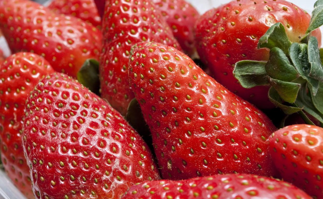 rucos para conservar las fresas en buen estado durante más tiempo