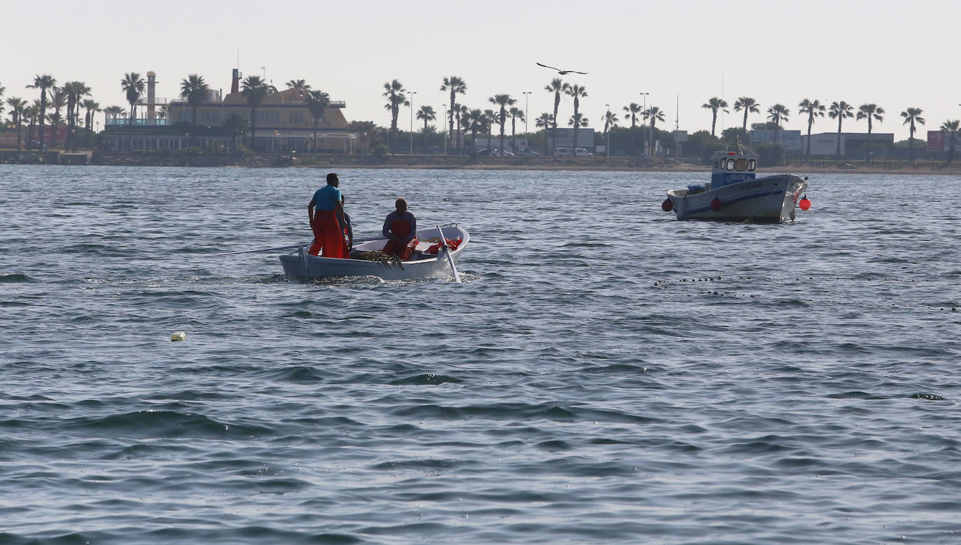 Barcas de pescadores en la zona norte de La Manga. 