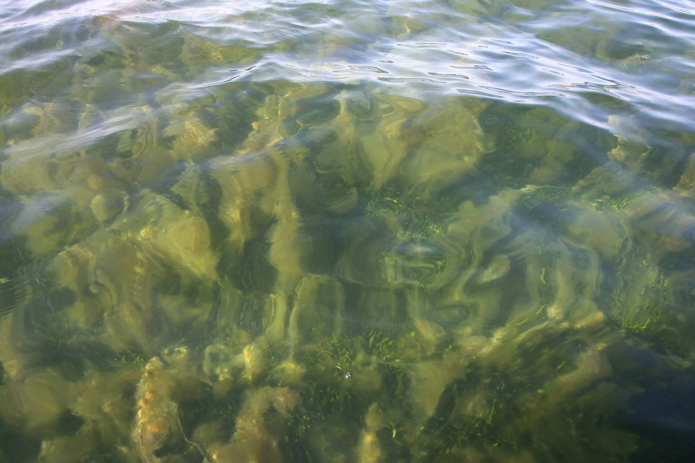 Estado del agua en la zona sur de La Manga. 