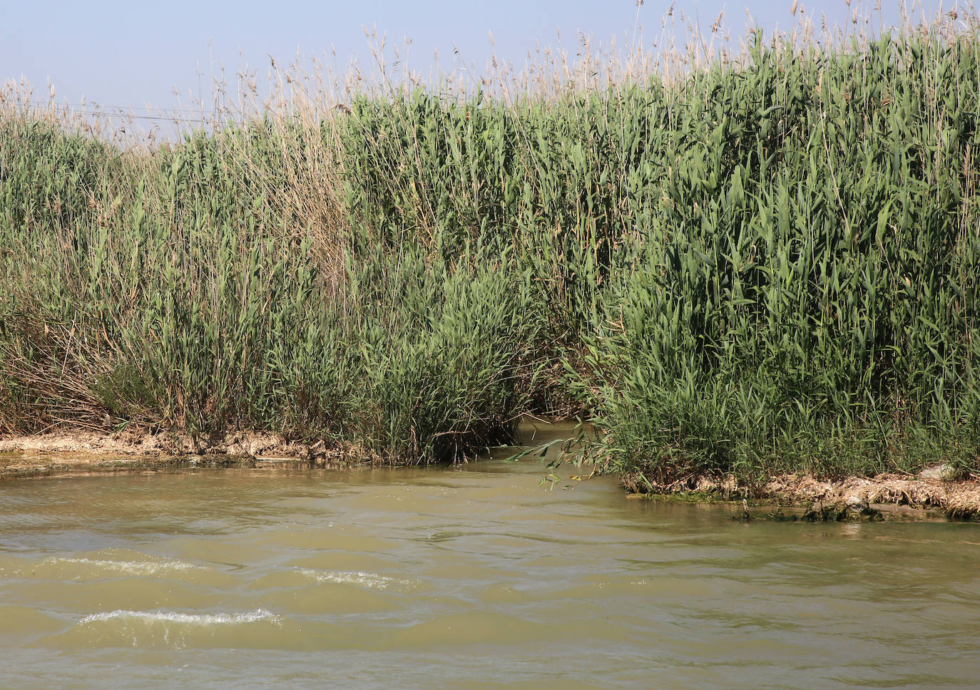 Desembocadura de la rambla del Albujón. 