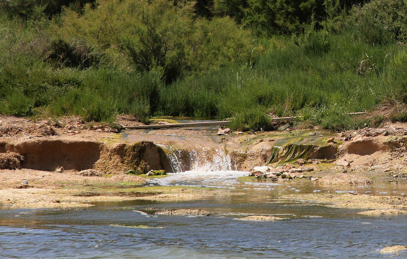 Desembocadura de la rambla del Albujón.