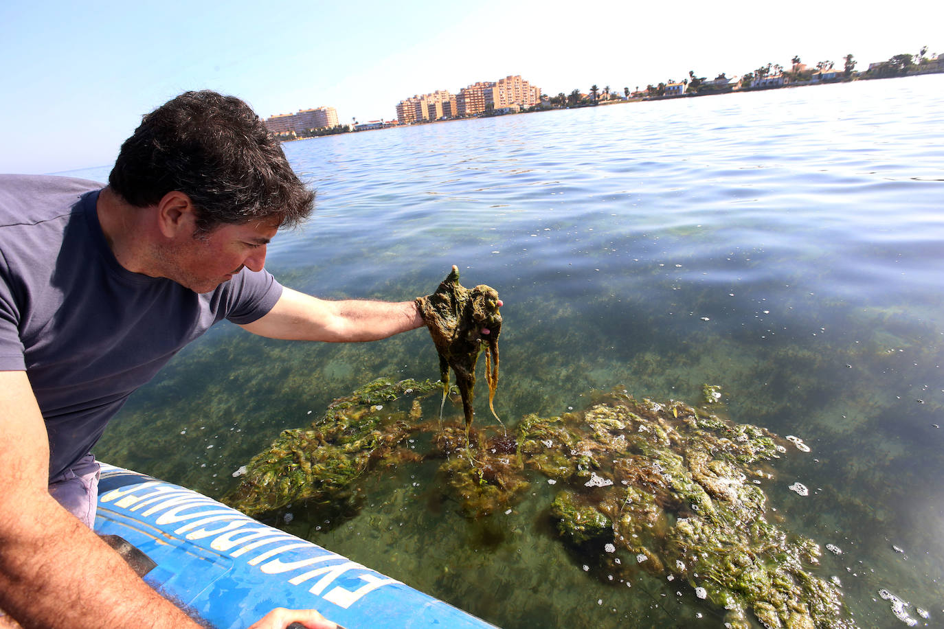 El periodista Miguel Ángel Ruiz muestra algunas de las manchas de ova de la superficie del mar. 