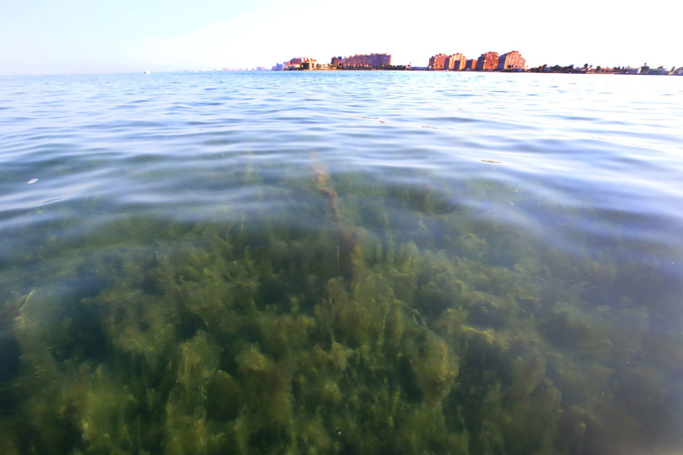 Estado del agua en la zona sur de La Manga. 