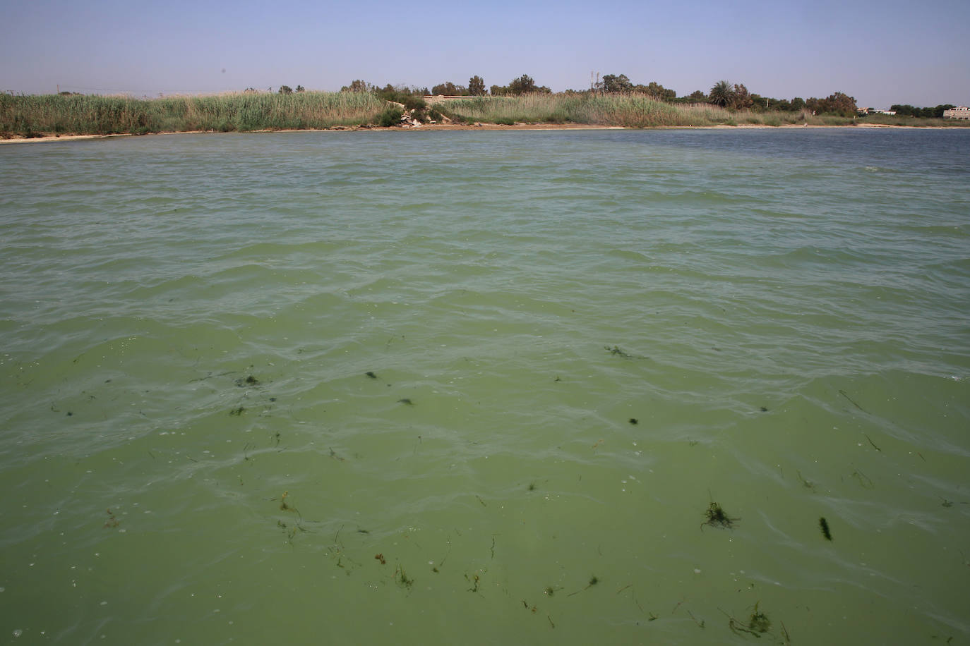 Estado del agua en la zona de la desembocadura de la rambla del Albujón. 