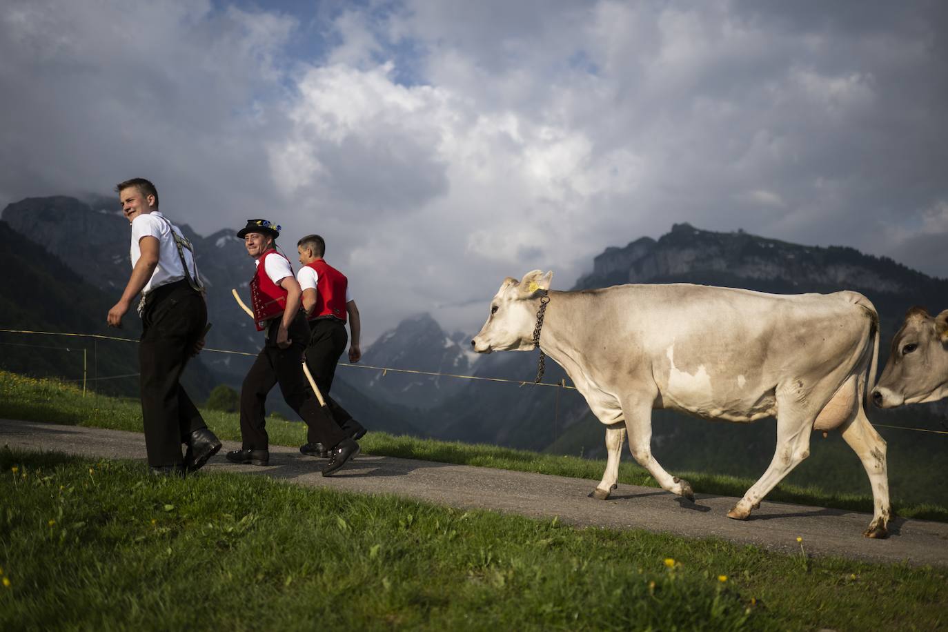 Fotos: Alpaufzug en Suiza