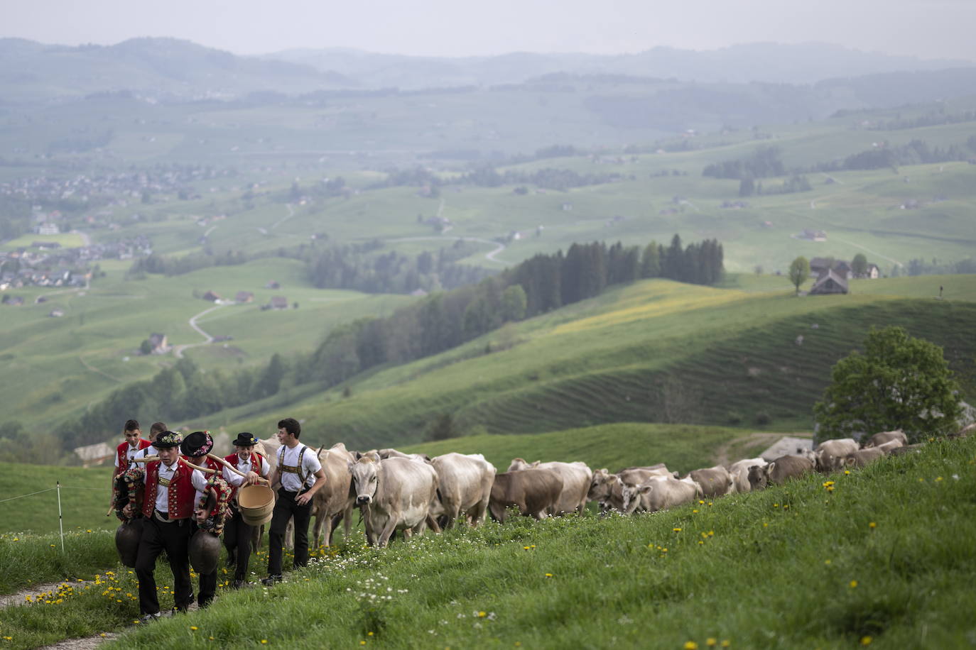 Fotos: Alpaufzug en Suiza