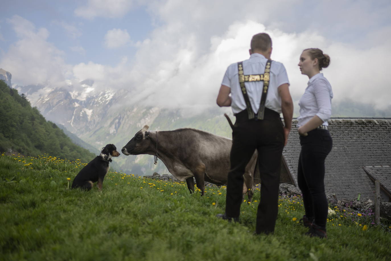 Fotos: Alpaufzug en Suiza