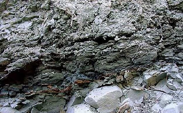 Detalle del nivel rojo-amarillento que marca el límite Cretácico-Terciario y que contiene diversas evidencias de impacto meteorítico. 