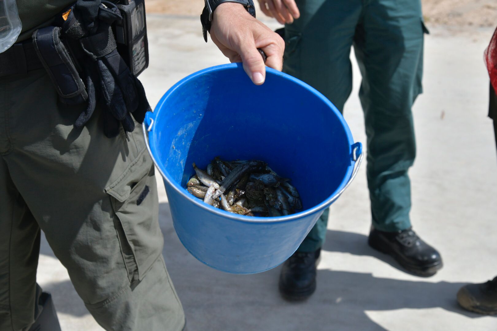 Un agente medioambiental junto a otro de la Guardia Civil, este miércoles, en Santiago de la Ribera.