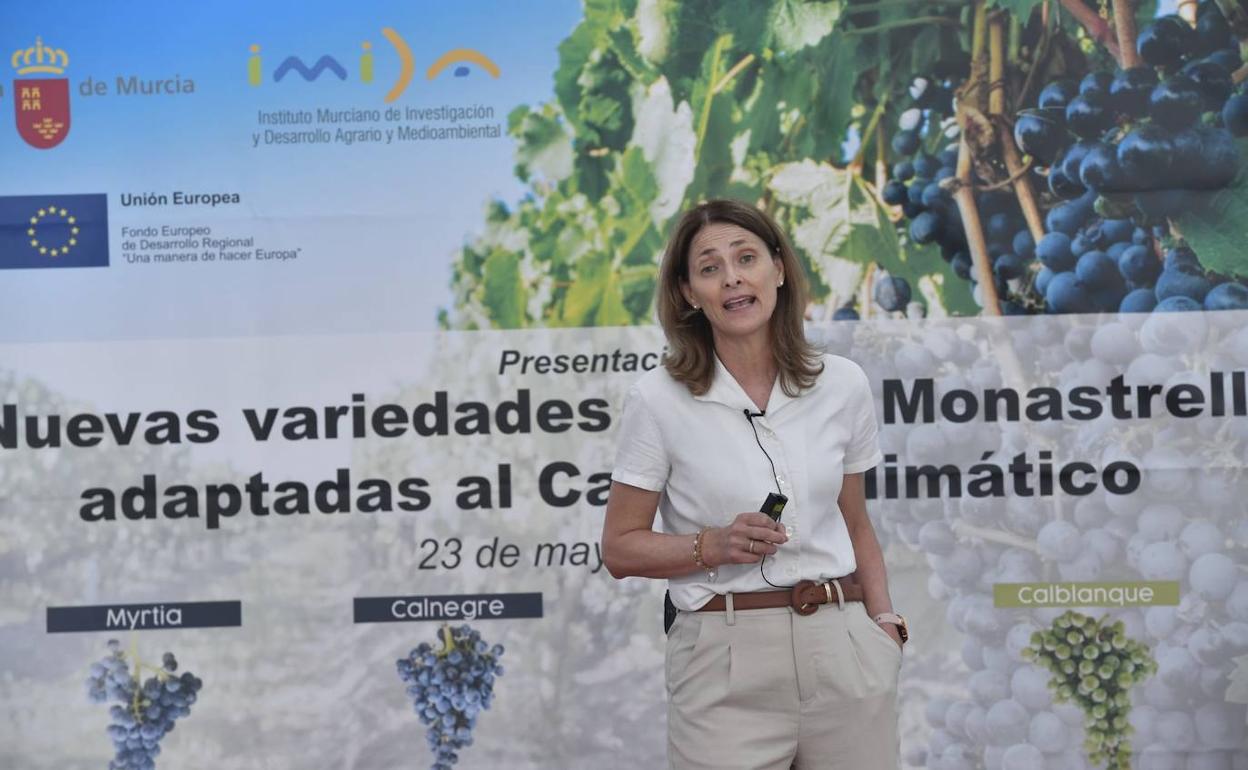 Presentación de las nuevas cuatro variedades de uva Monastrell.